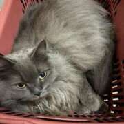 ヒメ日記 2026/03/06 10:01 投稿 そら カワサキ EROTIC