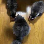 ヒメ日記 2026/04/01 11:00 投稿 そら カワサキ EROTIC