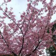 ヒメ日記 2026/04/03 11:00 投稿 そら カワサキ EROTIC