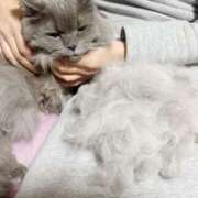 そら 散っちゃった カワサキ EROTIC