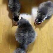 ヒメ日記 2026/05/07 07:15 投稿 そら カワサキ EROTIC
