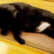 ヒメ日記 2026/08/10 08:15 投稿 そら カワサキ EROTIC