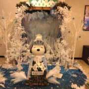 ヒメ日記 2025/12/15 16:06 投稿 さや 大宮おかあさん