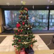 ヒメ日記 2025/12/14 09:46 投稿 さや 西川口おかあさん