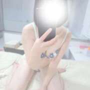 ヒメ日記 2026/02/20 11:04 投稿 はな 金瓶梅(きんぺいぱい)(雄琴)