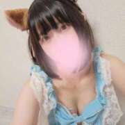 ヒメ日記 2026/03/12 15:19 投稿 はな 金瓶梅(きんぺいぱい)(雄琴)