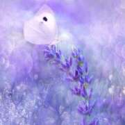 ヒメ日記 2025/12/13 16:01 投稿 めぐみ先生 密着！バカンス学園 姫路校