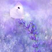 ヒメ日記 2025/12/13 16:05 投稿 めぐみ先生 密着！バカンス学園 姫路校