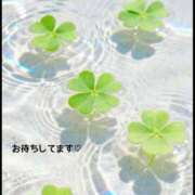 ヒメ日記 2026/08/07 15:29 投稿 かおり 鶯谷おかあさん