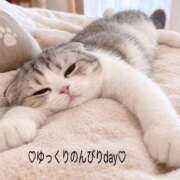 ヒメ日記 2026/09/08 11:49 投稿 かおり 鶯谷おかあさん