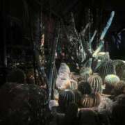 ヒメ日記 2026/03/12 16:59 投稿 天音 みゃあ しゃせきょっ!XX教育される制服女子たち