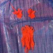 ヒメ日記 2025/12/27 10:39 投稿 土屋　じゅり モデルコレクション 五反田店