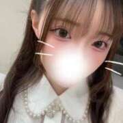 ヒメ日記 2026/04/11 14:36 投稿 こころ 石庭