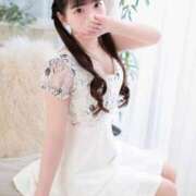 ヒメ日記 2026/04/11 18:50 投稿 こころ 石庭