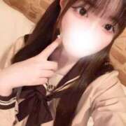 ヒメ日記 2026/04/12 13:24 投稿 こころ 石庭