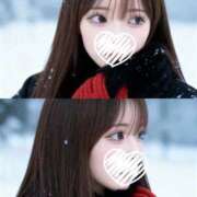 ヒメ日記 2026/04/12 16:20 投稿 こころ 石庭