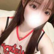 ヒメ日記 2026/04/13 13:51 投稿 こころ 石庭