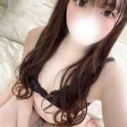 ヒメ日記 2026/04/13 15:30 投稿 こころ 石庭