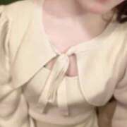 ヒメ日記 2026/04/13 21:36 投稿 こころ 石庭