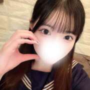 ヒメ日記 2026/04/14 14:50 投稿 こころ 石庭