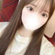 ヒメ日記 2026/04/14 17:30 投稿 こころ 石庭