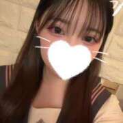 ヒメ日記 2026/04/15 21:50 投稿 こころ 石庭