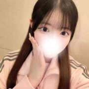 ヒメ日記 2026/04/22 15:30 投稿 こころ 石庭