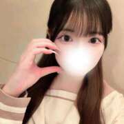 ヒメ日記 2026/04/23 12:24 投稿 こころ 石庭