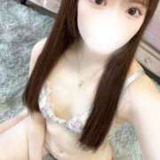 ヒメ日記 2026/04/24 14:50 投稿 こころ 石庭