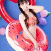 ヒメ日記 2026/08/13 14:50 投稿 こころ 石庭