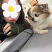 ヒメ日記 2025/12/14 12:53 投稿 湊 ひより 大奥 難波店