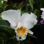 ヒメ日記 2026/02/09 10:24 投稿 ひさめ 熟女家 十三店