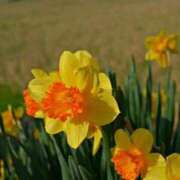 ヒメ日記 2026/04/04 14:13 投稿 ひさめ 熟女家 十三店