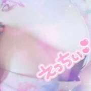 【新人】かなで お知らせ📢 神奈川小田原ちゃんこ