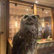 ヒメ日記 2026/02/04 23:01 投稿 リィナ Club Hearts