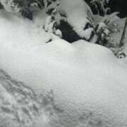 ヒメ日記 2026/02/08 21:01 投稿 リィナ Club Hearts