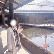 ヒメ日記 2026/02/15 12:04 投稿 リィナ Club Hearts