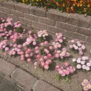 ヒメ日記 2026/04/13 19:22 投稿 リィナ Club Hearts