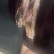 ヒメ日記 2026/01/07 19:05 投稿 あおば 小柄美少女の初めて！ ウエスト・コム