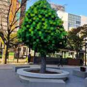 ヒメ日記 2026/01/10 14:34 投稿 あいな 川崎・東横人妻城