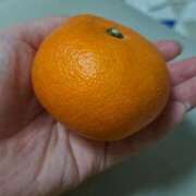 ヒメ日記 2026/01/19 18:59 投稿 あいな 川崎・東横人妻城