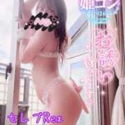 ヒメ日記 2026/07/13 12:02 投稿 相沢しゅり セレブ Rex