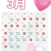 ヒメ日記 2026/02/26 14:19 投稿 まりな ハイブリッドヘルス小岩中央