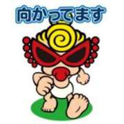 ここあ 寒いよぉ〜🥺 妻天 京橋店