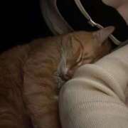 ヒメ日記 2026/02/24 13:55 投稿 そら ギャルコレクション