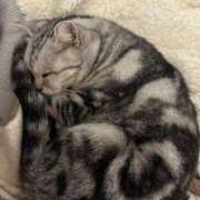 ヒメ日記 2026/03/27 14:48 投稿 そら ギャルコレクション