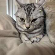 ヒメ日記 2026/03/28 17:07 投稿 そら ギャルコレクション