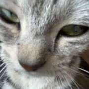 そら まっているよ ギャルコレクション