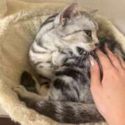 ヒメ日記 2026/05/20 19:31 投稿 そら ギャルコレクション