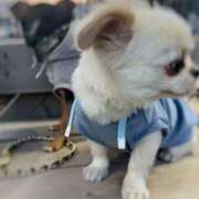 ヒメ日記 2026/01/19 18:50 投稿 りの DEEP BLACK